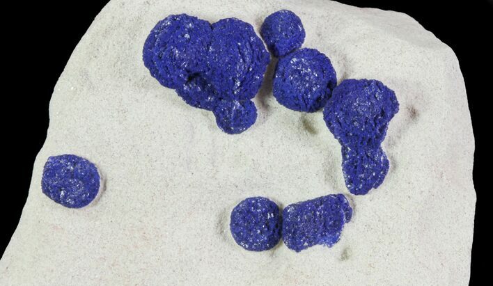 Brilliant Blue Azurite Sun Cluster On Rock - Australia #64287
